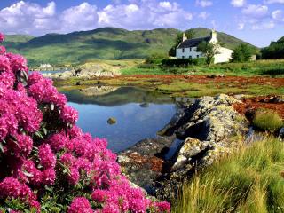 обои Яркий идиллический пейзаж на фоне цветущих и зеленых гор фото