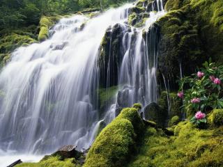 обои Многоуровневый стремительный водопад среди зеленых склонов фото