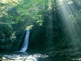 обои Проникающий сквозь зелень леса солнечный свет и волшебный водопад фото