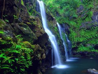 обои Яркие струи лесного водопада в каменистых местах фото