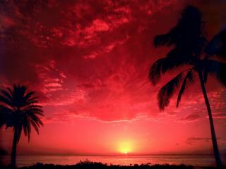обои Красный закат на берегу теплого моря фото