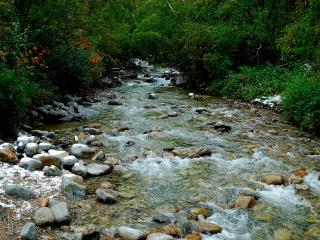 обои для рабочего стола: Речка с гор