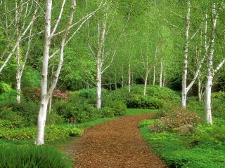 обои Garden Path,   Washington фото