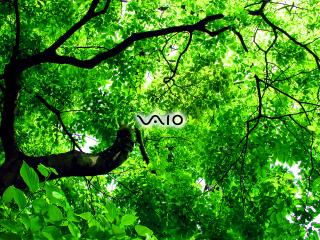 обои VAIO на фоне дерева фото