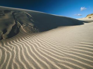 обои Sand Dunes in Fraser Island,   Australia фото