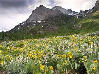 обои для рабочего стола: McGee Creek Canyon,   John Muir Wilderness,   California