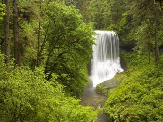 обои Middle North Falls,   Silver Falls State Park in Spring,   Oregon фото