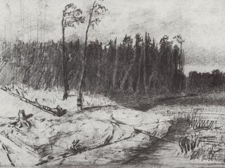 обои Лес у воды. 1872 фото