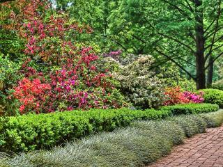 обои Цветочная изгородь у садовой дорожки фото