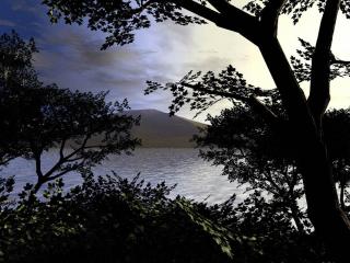 обои Деревья у моря, надвигающийся вечер фото