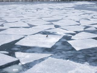 обои Тающий лед в реке фото