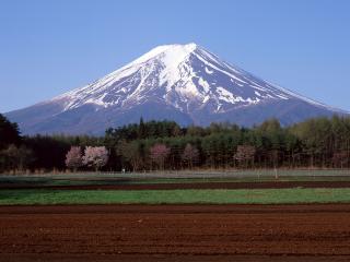 обои Знаменитый в Японии вулкан рядом с ухоженными полями фото