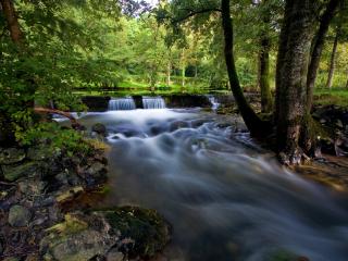 обои Быстрые потоки лесного водопада фото