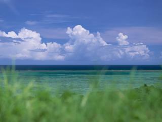 обои Небольшое озеро,   голубое небо и пушистые облака фото