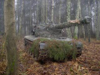 обои Австрийский лёгкий танк SK-105 Кирасир в лесу фото