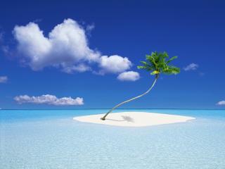 обои Одиночная пальма на крошечном островке посреди океана фото
