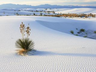 обои Белый песок пустыни фото