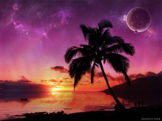 обои Свисающая пальма и две планеты в небе фото