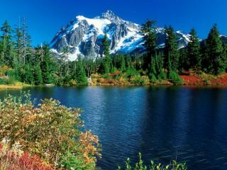 обои Таёжное озеро у подножья горы фото