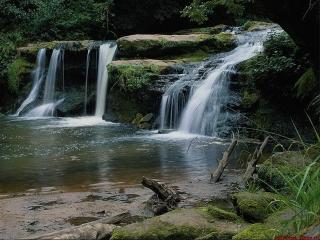 обои Тихий водопад в чаще леса фото