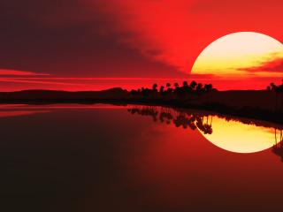 обои Вечерний закат солнца в тропиках над морем фото