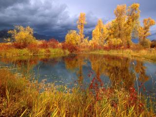 обои Осень в пруду,  отражение желто-красной листвы на деревьях и хмурое небо фото