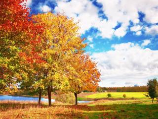 обои Осенний пейзаж фото
