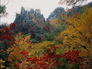 обои Древние горы утопают в осенней листве фото