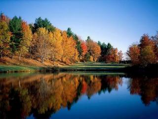 обои Осенний лесной берег реки фото