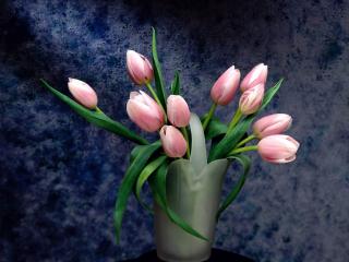 обои Розовые тюльпаны в вазе фото