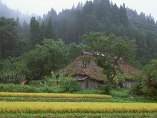 обои Япония Фудзи - дом у горы фото