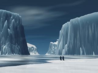 обои Жизнь в арктических льдах фото