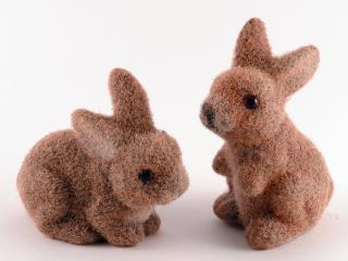 обои Две маленькие коричневые игрушки-зайцы фото