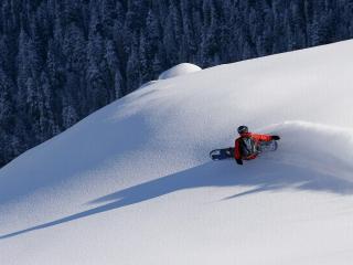 обои Сноубордист в движении фото