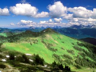 обои Горы с зеленой растительностью фото