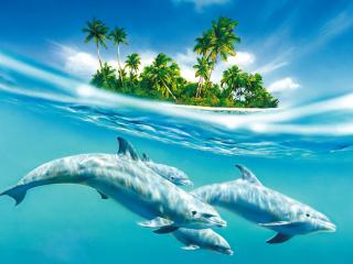 обои Заплыв дельфинов вокруг острова фото