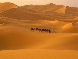 обои Пустыня Сахара Марокко фото