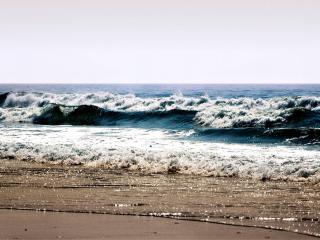 обои Волна накатывает на песчаный берег фото