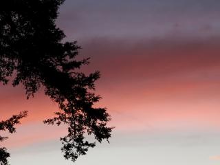 обои Вечернее небо в розовых тонах фото
