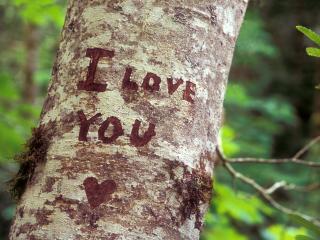 обои Надпись о любви на дереве фото