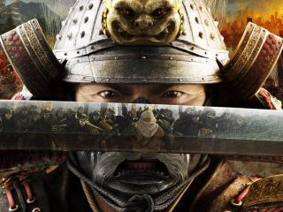 обои Игра  Shogun Total War фото