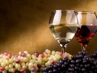 обои Два бокала вина. Красное и белое. Среди гроздьев винограда фото