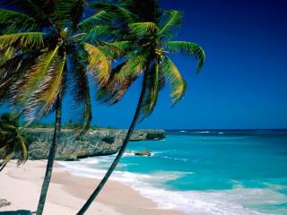 обои Тропический пляж на острове фото