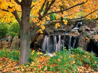 обои Водопад в лесу среди камней фото