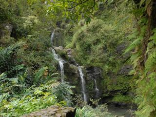 обои Тоненькие струйки водопада в лесу фото