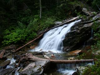обои Водопад в лесу,   перекрытый бревнами фото