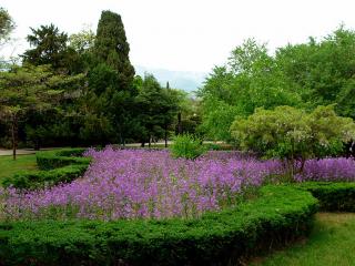 обои Ботанический сад в Крыму фото