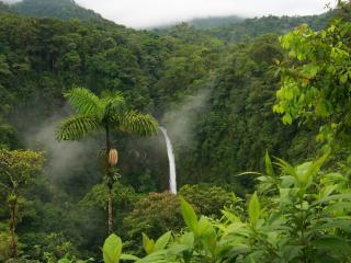 обои Водопад,   спрятанный в джунглях фото