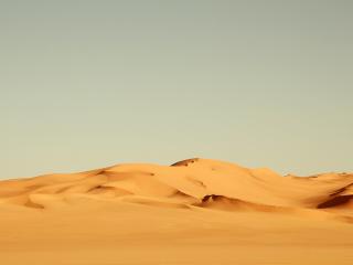 обои Дюны в пустыне фото
