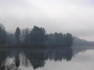 обои Небольшой туман над озером фото